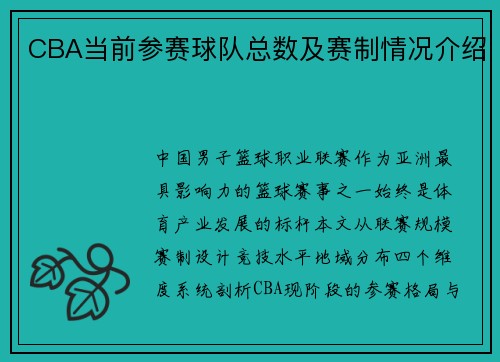 CBA当前参赛球队总数及赛制情况介绍